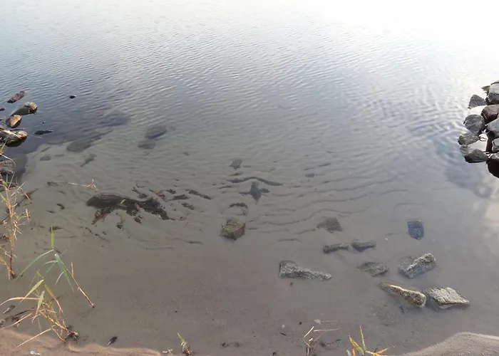 Ferienhaus Kchischowka Vetschau/Spreewald